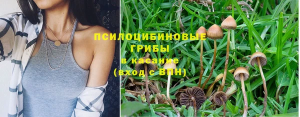 экстази Алексин
